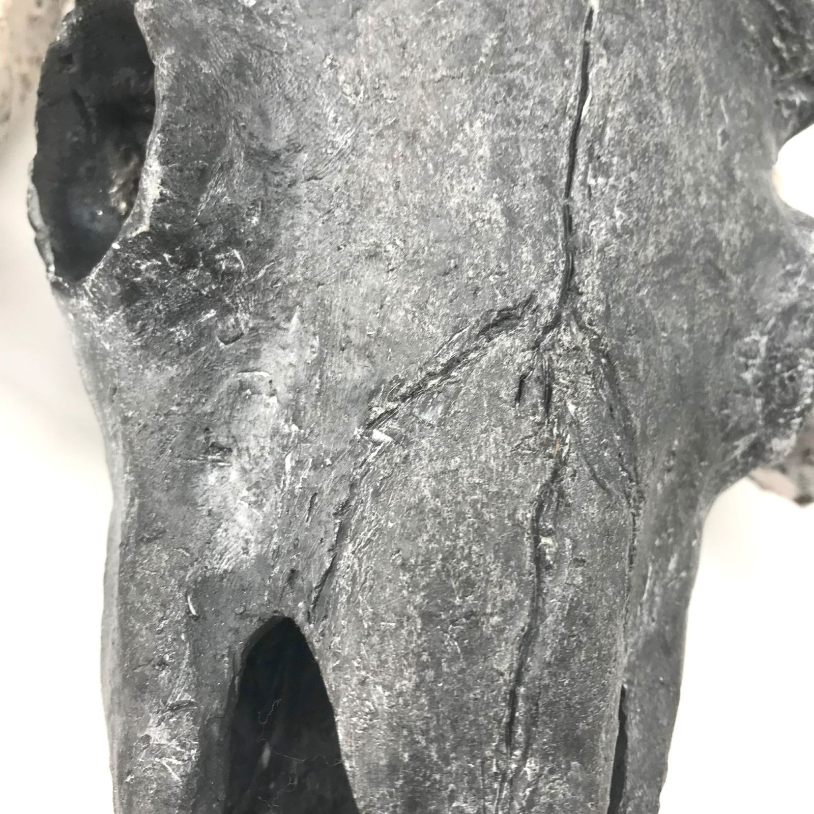 czaszka zwierzecia - czern powstała w redukcji